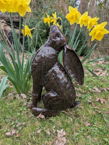 Stunning  Moon Gazing  Hare