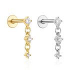 Cartilage Collection