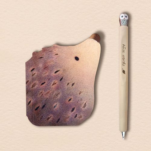 Shaped notebook and pen sets