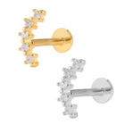 Cartilage Collection