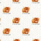 Gift Wrap - Funny & Children's