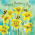 Spring Seasons - Funny & Cute