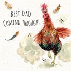 Spring Seasons - Funny & Cute