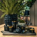 Amber Noir | The Couture Collection