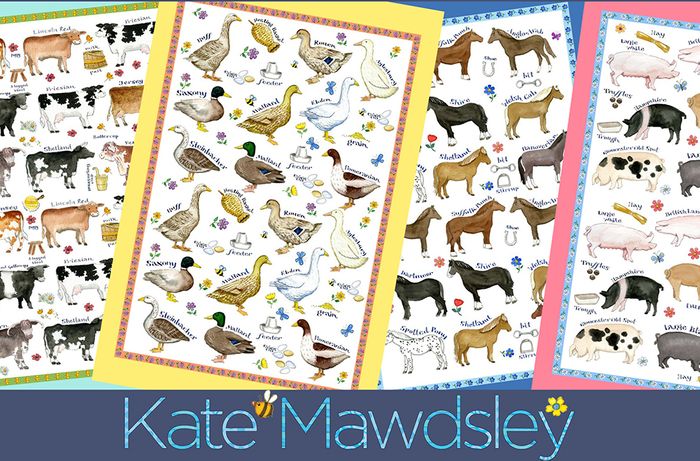 New from Kate Mawdsley