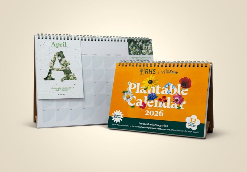 Plantable Flower Desk Calendar Made in the UK