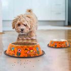 Hand Painted Pet Food bowls