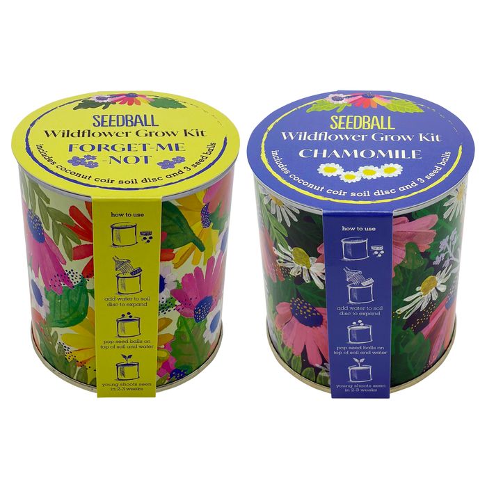 Wildflower Grow Kits (Cost £5.20, RRP £13)