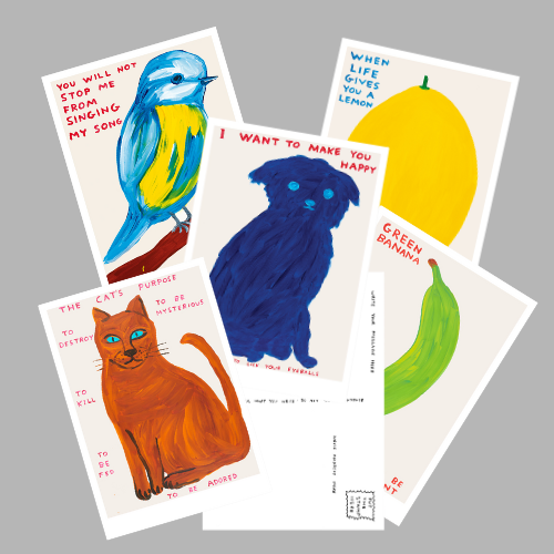 Shrig Shop by David Shrigley