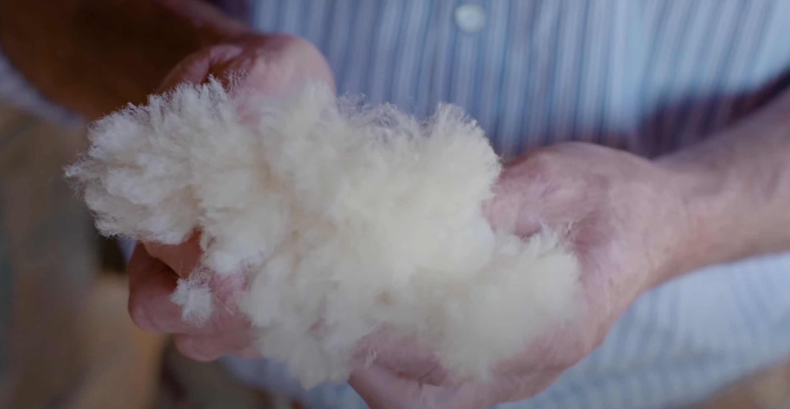 MEO™ | Farm story