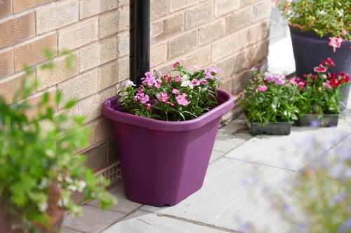 Clever Pots Downpipe Pot