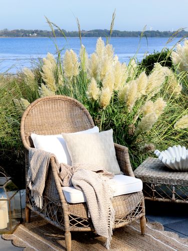 In Full Bloom by Chic Antique - SS24