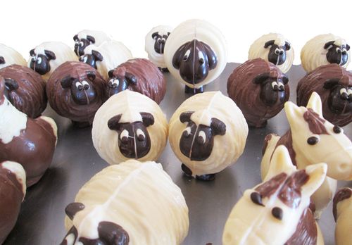 Making Chocolate Sheep