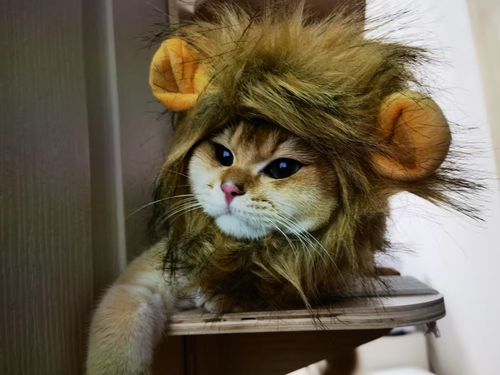 Nice pearlescent day！