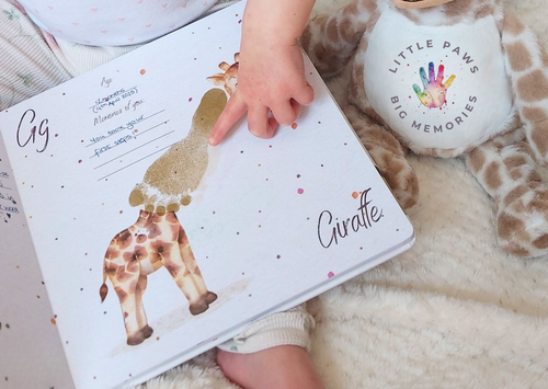 Start Capturing Memories Today