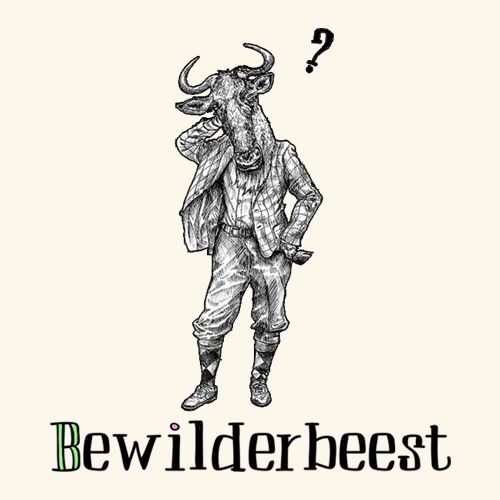 Bewilderbeest Ltd