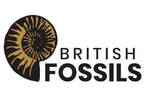 British Fossils