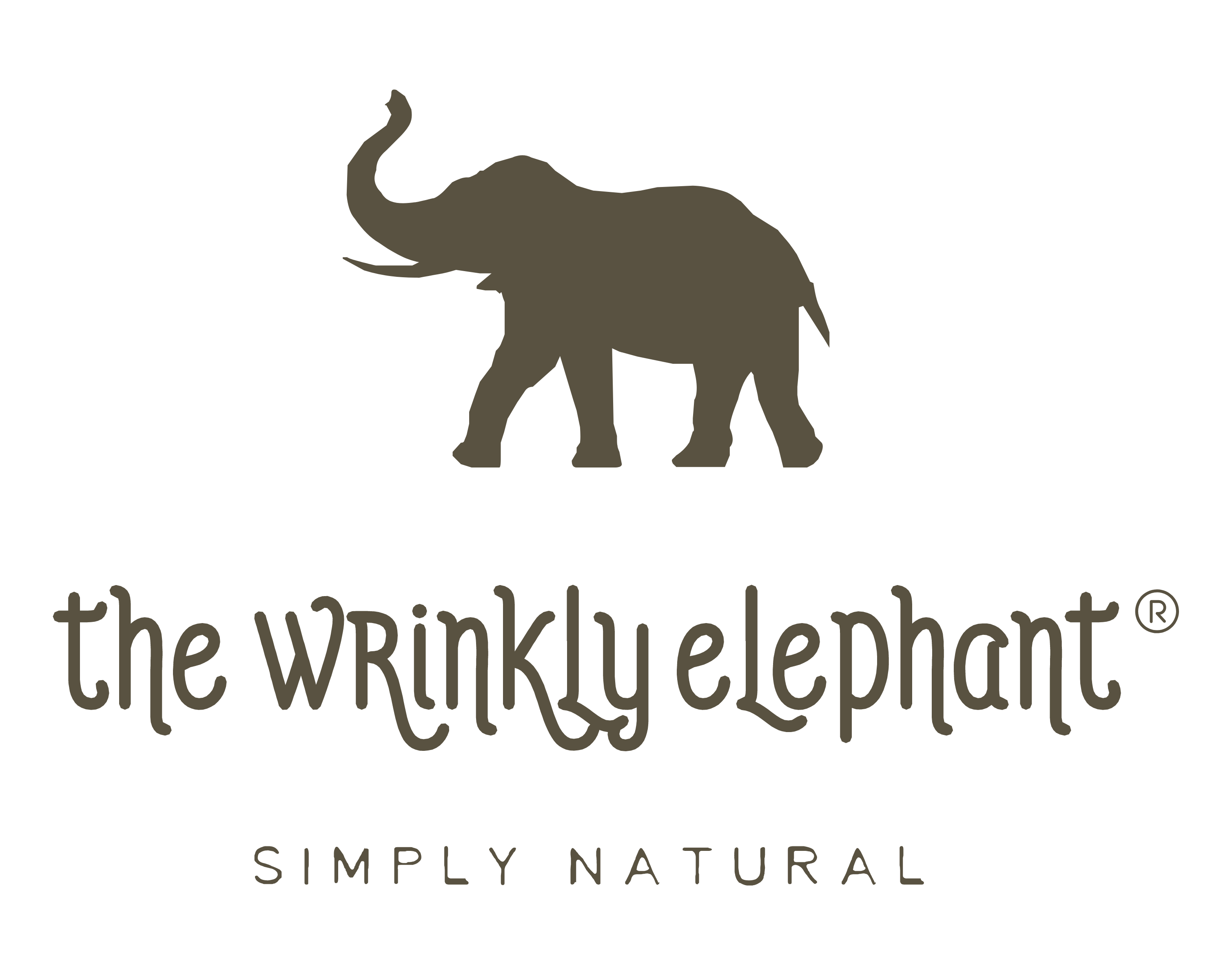 The Wrinkly Elephant Company Ltd