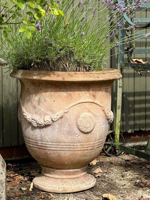 Terrace & Garden Ltd