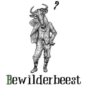 Bewilderbeest Ltd