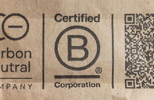 B Corp Explained: Benefits and How to Get Certified