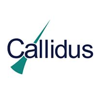 Company name - Callidus Group