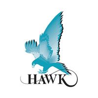 Company name - Hawk Measurement Systems