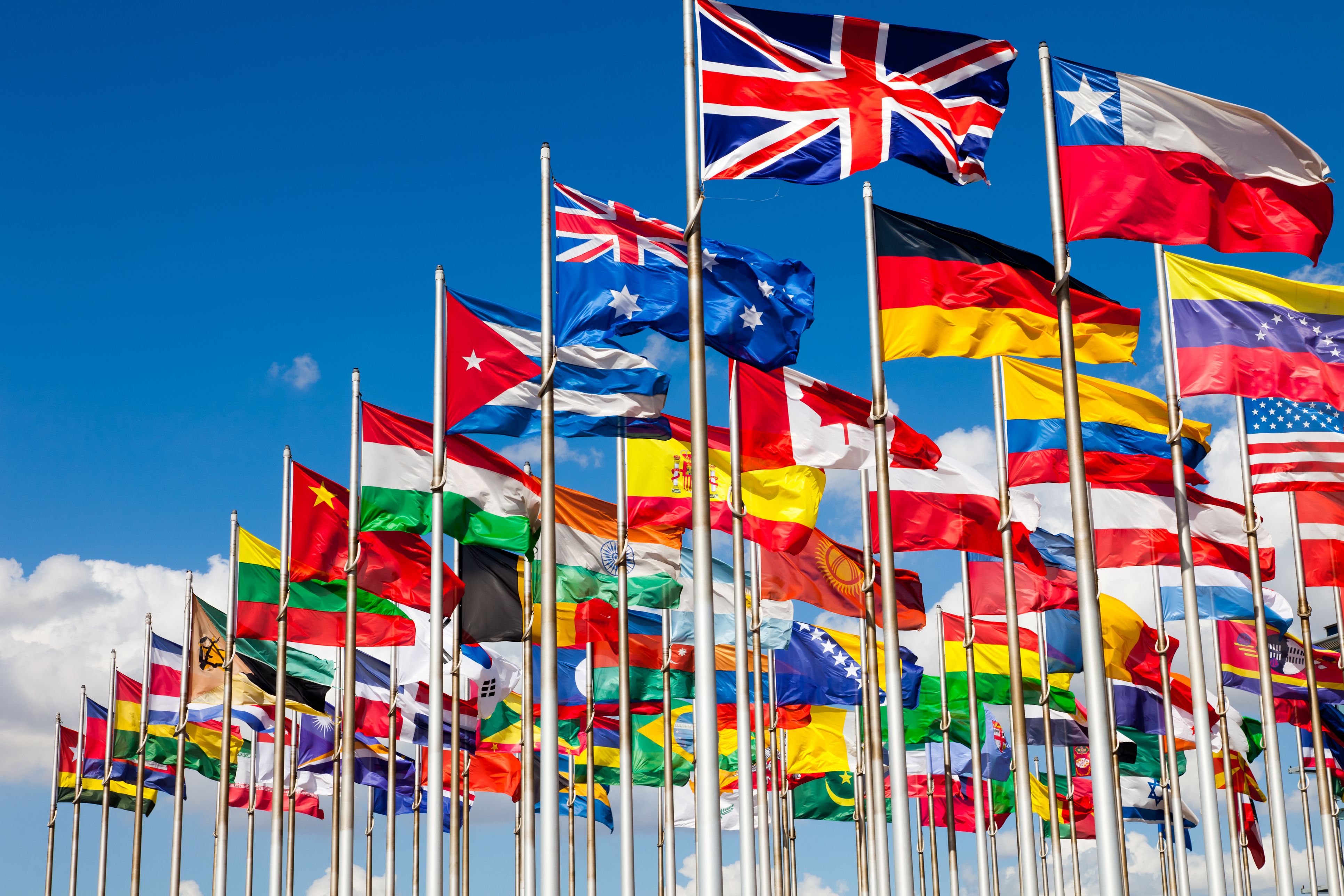 flags of the world