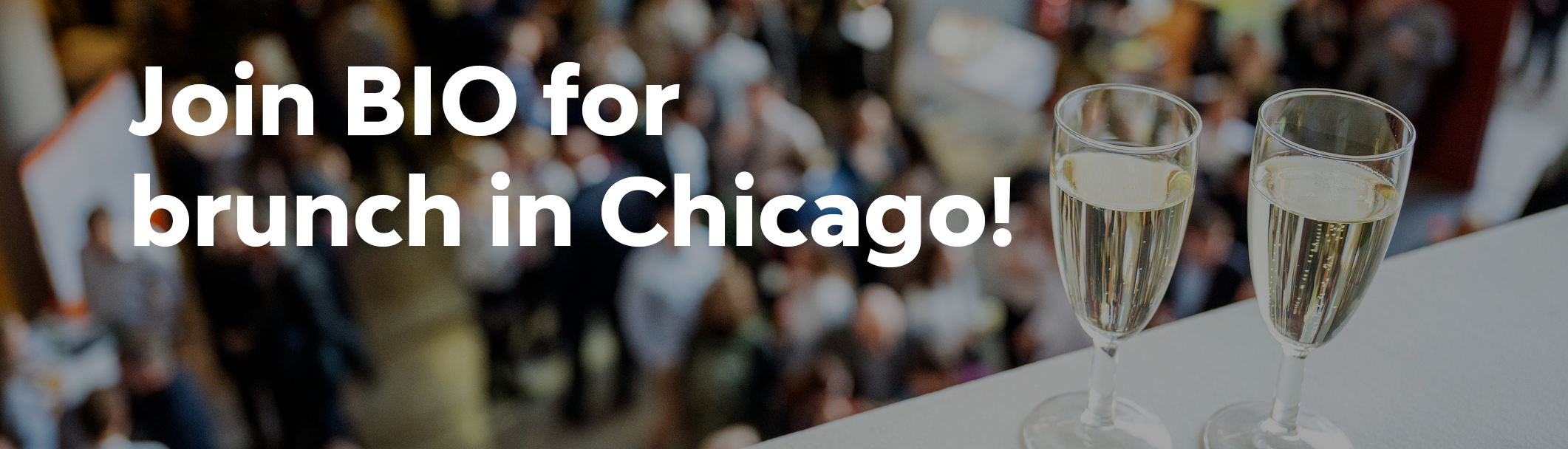 join bio for brunch in chicago