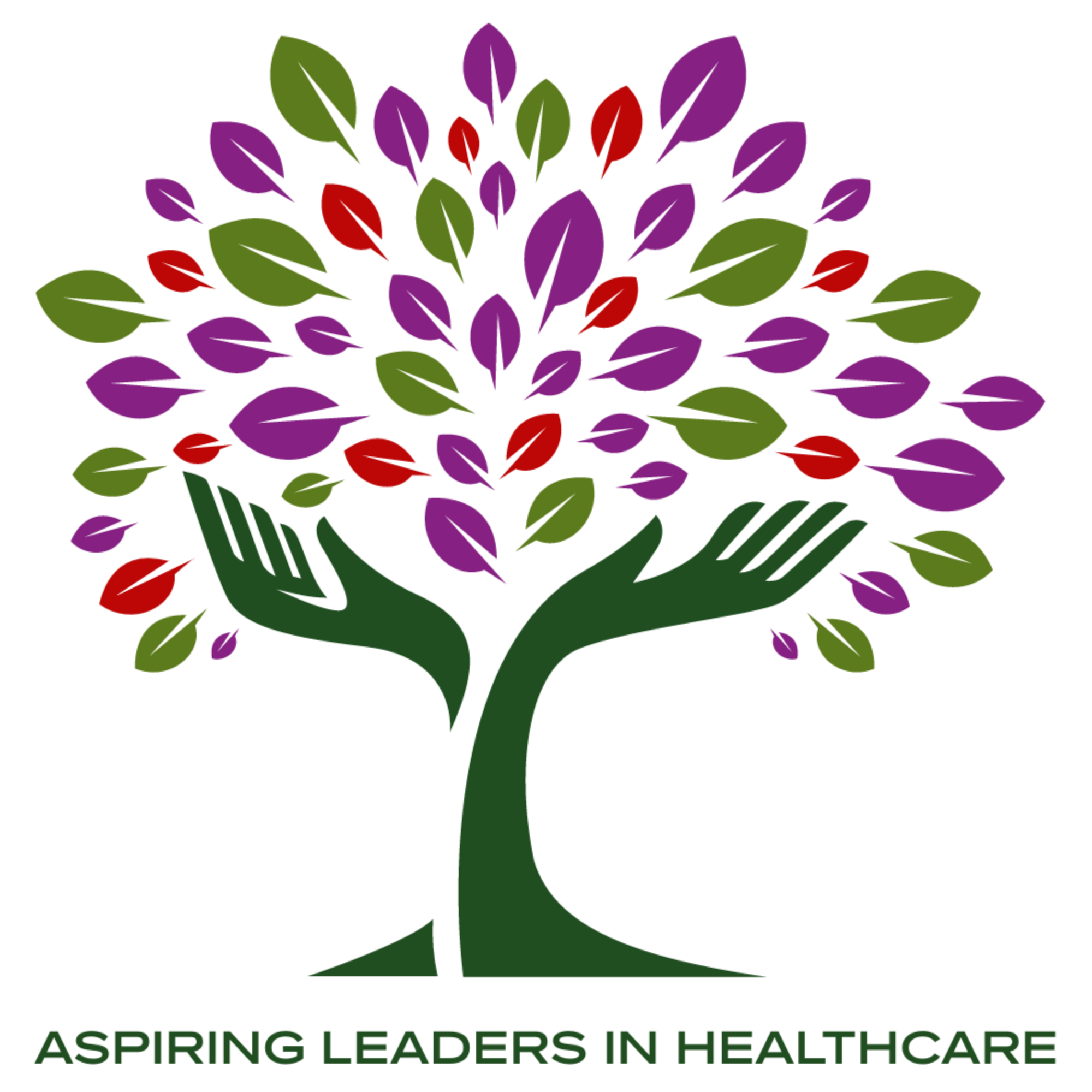 Company logo image for Jamie Smyth