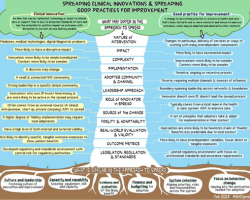 Spreading and scaling innovation and improvement: understanding why the differences matter