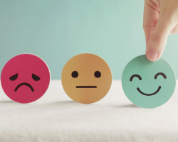 Digital mental wellness platforms and their use