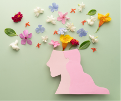 “I am not a priority”: ethnic minority experiences of navigating mental health support