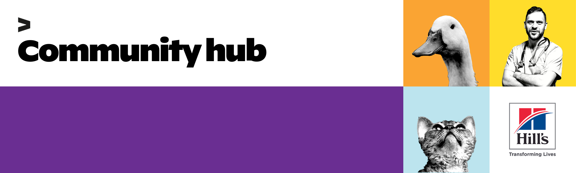 community-hub