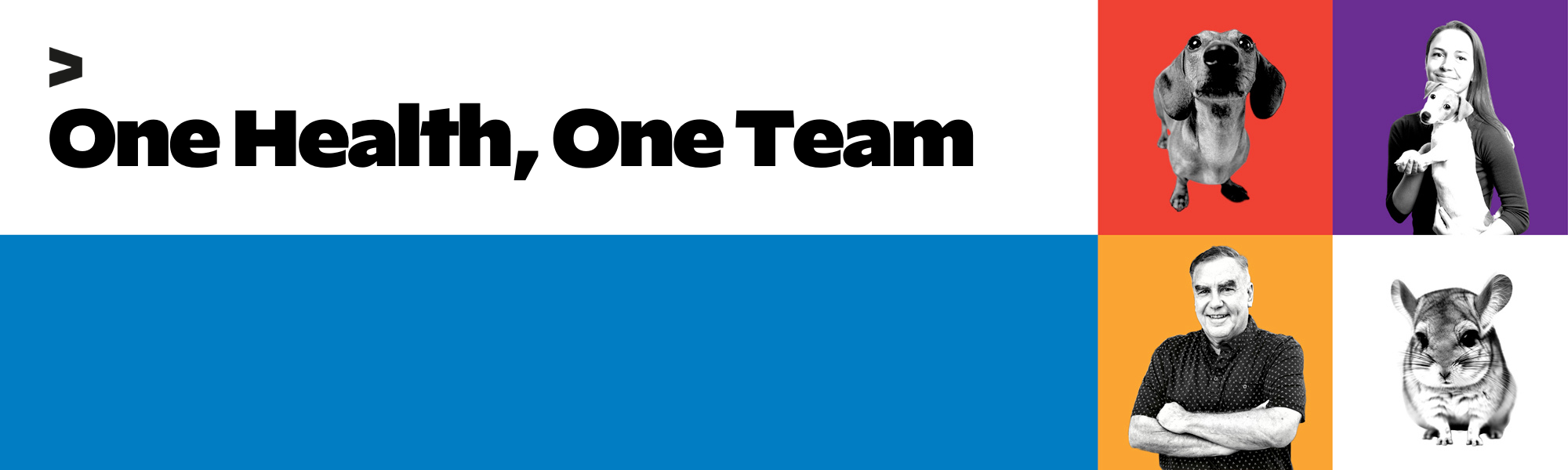 one-team-one-health