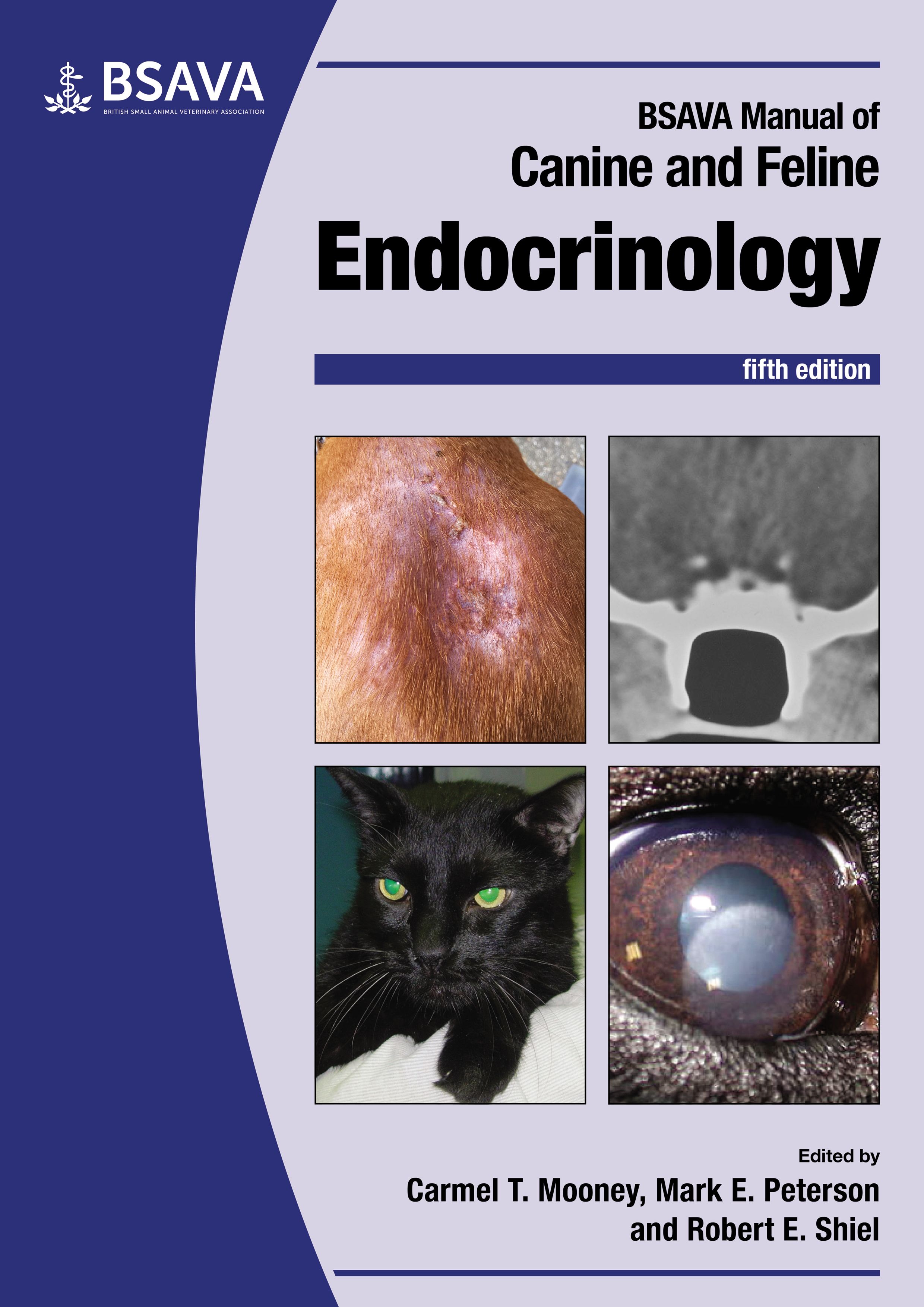 In case you missed it – new Endocrinology edition
