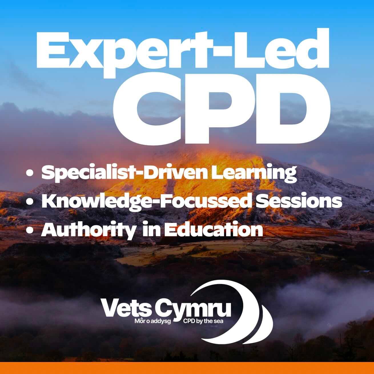 Expert-Led CPD