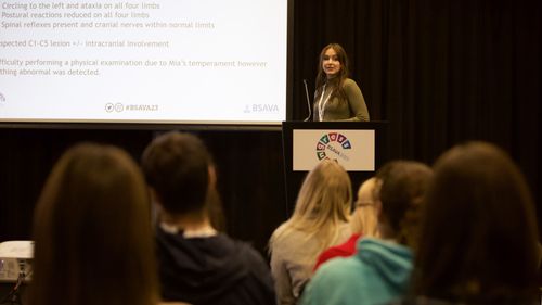 Submissions are open for the BSAVA 2024 vet nurse case reports