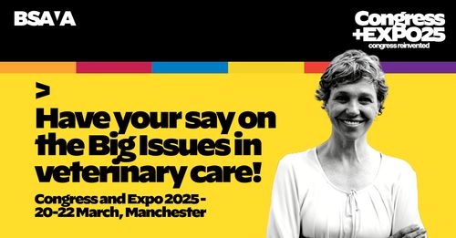 BSAVA invites the CMA to share their views at Congress in Manchester