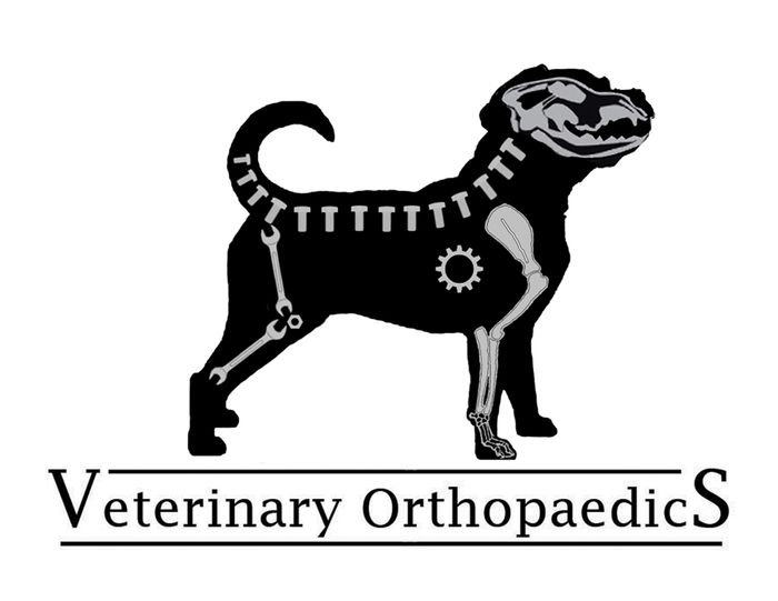 Veterinary Orthopaedics