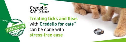 Elanco at BSAVA 2025: Unveiling Credelio Cat’s Stress-Free Secrets and More