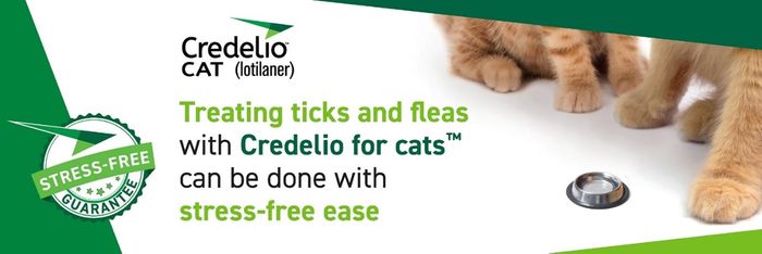 Elanco at BSAVA 2025: Unveiling Credelio Cat’s Stress-Free Secrets and More