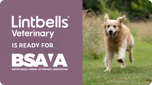 Lintbells Veterinary is ready for BSAVA 2025!