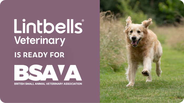 Lintbells Veterinary is ready for BSAVA 2025!