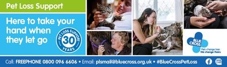 Blue Cross Pet Loss Support Celebrates 30th Anniversary at BSAVA Congress 2024