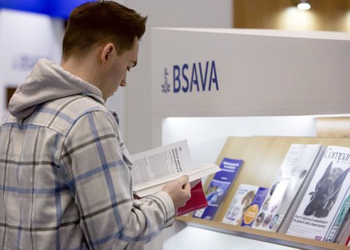 What’s on at the BSAVA Publications Stand for Congress 2024?