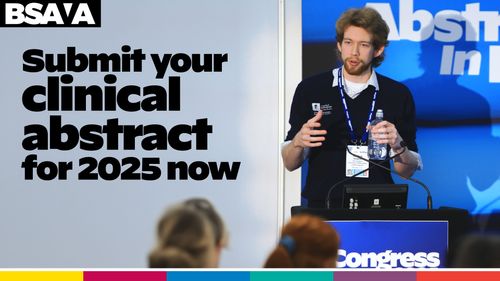 Submissions open for BSAVA’s Clinical Abstracts for 2025