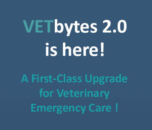 VETbytes 2.0 – A First-Class Upgrade for Veterinary Emergency Care