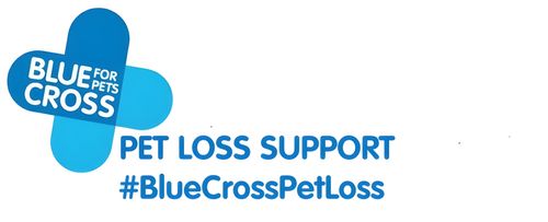 Blue Cross Pet Loss Support