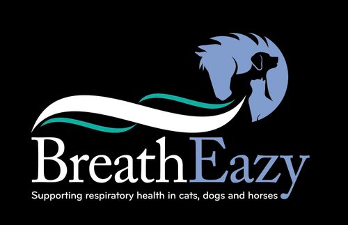 BreathEazy Ltd